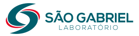 logomarca sao gabriel laboratorio