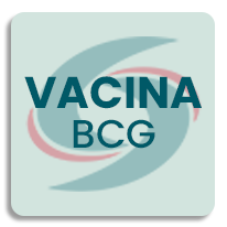 vacina bcg